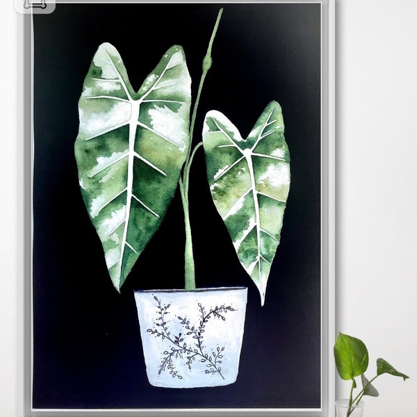 Plant Art Prints, Botanical Wall Art, Variegated Frydek Alocasia Print, Gouache Art Print, Wish list Plants, Leaf Art, Plant Poster