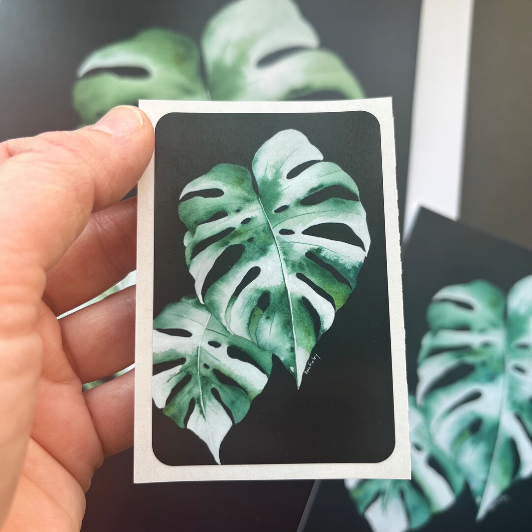 Monstera Albo Variegata Vinyl Plant Sticker, Plant Lovers Sticker ...