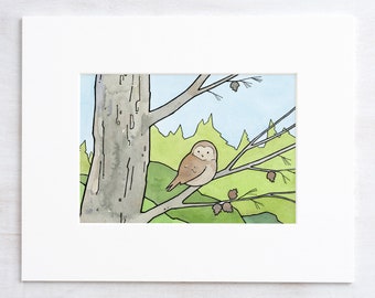 Owl in Pine Art Print, woodland pinecones illustration wall art