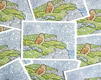 Owl Iceland Christmas Card Set, coastal holiday cards, whimsical stationery