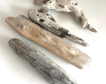 Natural Atlantic Driftwood Set – 4 Pieces (5.5–7.5”) Aquarium Driftwood, Aquascaping Wood, Terrarium Decor, Craft Driftwood, Beach Wood