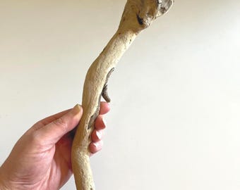 Natural Atlantic Driftwood Piece for Aquariums & Terrariums – 10.5” Unique Sculptural Wood, Untreated