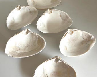 White Clam Shells Set of 6 – 4.75–5 Inch Natural Beach Shells for Crafts, Candle Making, Coastal Decor, Wedding Table Decor
