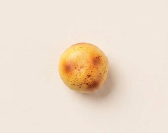 SQUU Crunchy Potato Squishy - The Ultimate ASMR Crush Sound