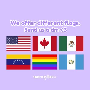 May include: Image features six flags: the United States, Canada, Mexico, Venezuela, the rainbow pride flag, and Guatemala. Text reads "We offer different flags. Send us a dm <3". The background is a light purple color.