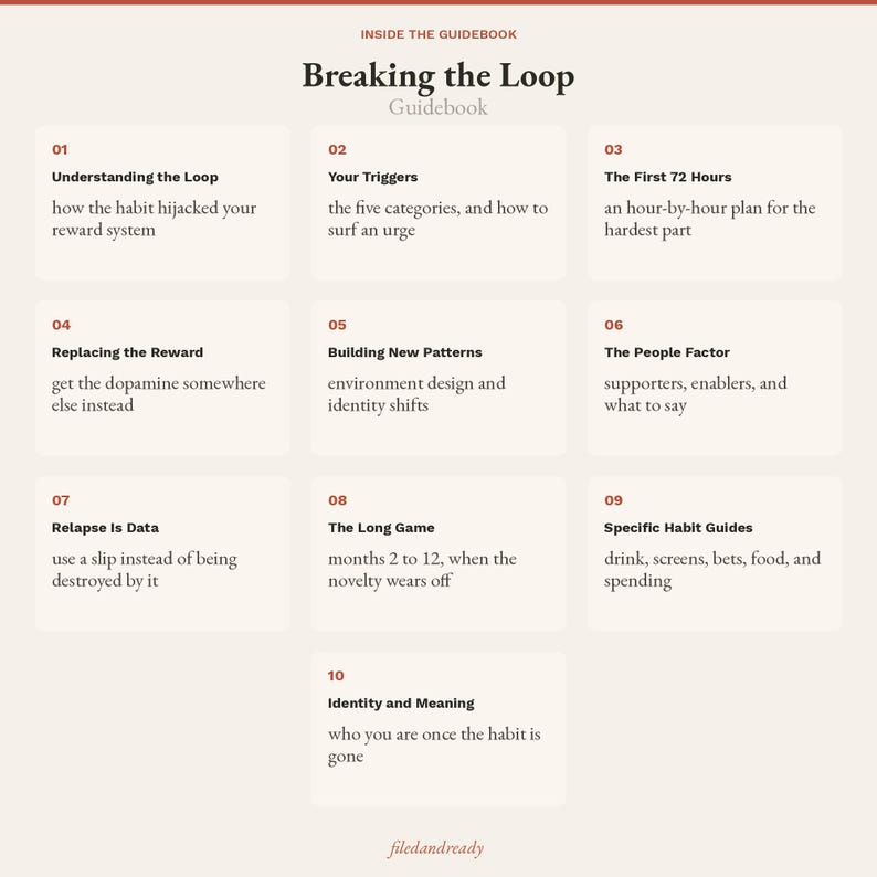 May include: A beige guidebook titled Breaking the Loop with ten numbered sections. Topics include Understanding the Loop, Your Triggers, The First 72 Hours, Replacing the Reward, Building New Patterns, The People Factor, Relapse Is Data, The Long Game, Specific Habit Guides, and Identity and Meaning.