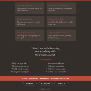 May include: A dark brown informational graphic featuring six text boxes with titles like The Loop Explained and A 72-Hour Survival Plan. It includes a central quote, a list of features such as a daily craving tracker, and a bottom bar stating 42 pages.