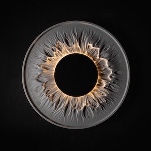 May include: A circular wall light fixture featuring a textured, grey, petal-like relief pattern surrounding a solid black center. A warm, golden light emanates from the inner ring, highlighting the intricate, organic ridges of the grey surface.