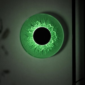 May include: A circular wall light fixture featuring a solid black center disc surrounded by a translucent, textured green ring that radiates light outward, creating a pattern reminiscent of a human iris or a stylized sunflower bloom.
