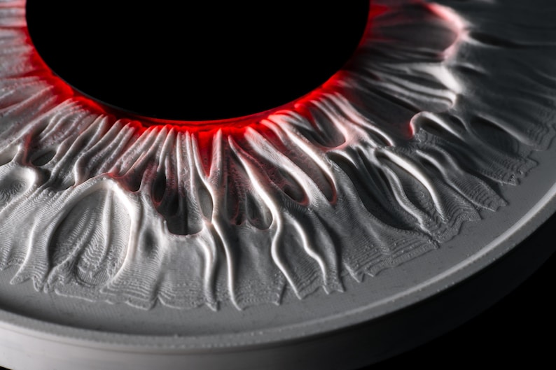 May include: A circular, three-dimensional relief sculpture depicting a human iris with intricate, radiating white ridges and valleys. A deep black pupil sits at the center, surrounded by a vibrant, glowing red ring that separates the pupil from the iris.