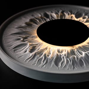 Iris Wall Lamp, Modern LED Wall Art, Eye Inspired Light Sculpture, Ambient Lighting Decor, 3D Printed Wall Light, Futuristic Home Decor image 8