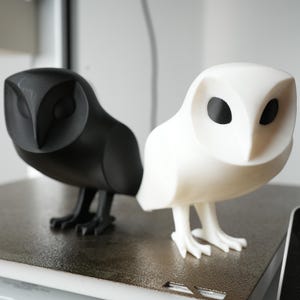 May include: Two owl figurines, one black and one white, are displayed side-by-side. The owls have a minimalist design with large, dark eyes and are perched on a light-colored surface. The black owl is on the left, and the white owl is on the right.