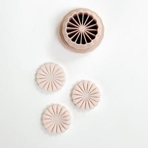 May include: A light pink, flower-shaped cookie cutter with a matching set of three cookies. The cutter has a detailed design with radial lines, and the cookies mirror this pattern. The items are arranged on a white surface.