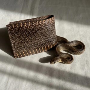 Pode incluir: Uma carteira dobrável com um padrão de pele de cobra em tons de castanho e bege com uma superfície texturizada e escamosa. Ao lado da carteira está uma cobra pequena e esguia de cor castanha com a parte inferior clara, enrolada.