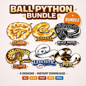 Ball Python Bundle SVG PNG – Snake Morph Collection Albino Banana Clown Leucistic Pied Black Pastel – Reptile Designs for T Shirt Print