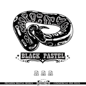 Black Pastel Ball Python Snake Illustration, Vintage Tattoo Style (SVG)