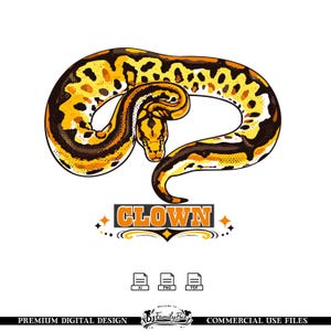 Clown Ball Python Snake Illustration – Reptile Artwork for T Shirt Print – Exotic Animal Graphic