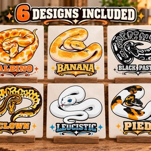 Ball Python Morph Bundle SVG PNG – 6 Snake Designs (Digital Download)