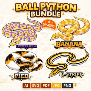 Puede incluir: Un paquete gráfico digital con cuatro diseños de pitón bola. Los diseños incluyen las variantes Lavender Albino, Banana, Pied y G-Stripe. La imagen incluye el texto "BALL PYTHON BUNDLE" e iconos de tipo de archivo.