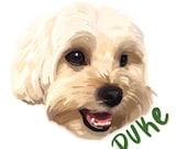 Custom Pet Portrait Digital Painting
