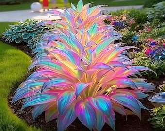 2 Hosta Blumenzwiebeln Bunt Schatten Gartenpflanze