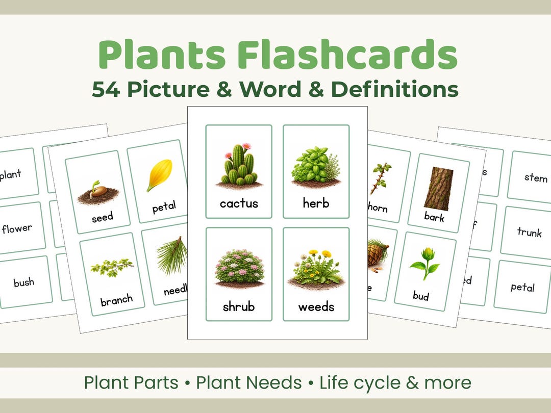 Flash Cards Pollination Plant Science Vocabulary Flashcards | Parts, Life Cycle, Pollination ...