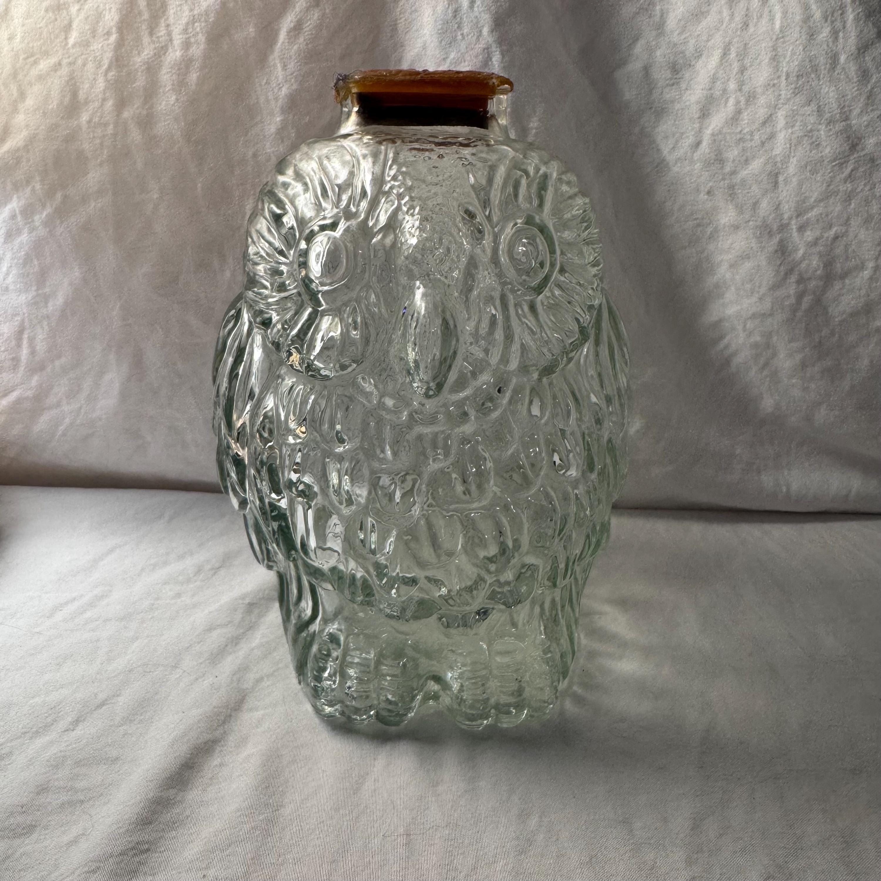 Vintage "Wise Old Owl" Glass Bank