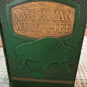 May include: A white ceramic mug with a black handle and the text "But First, Coffee" in a bold, black font. The mug is set against a blurred background, suggesting a cozy setting.