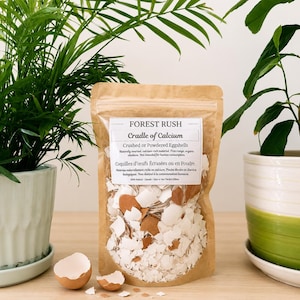 Crushed Eggshell Calcium for Isopods, Snails, Hermit Crabs, Milipedes, Terrariums & Gardens | Natural Calcium Source