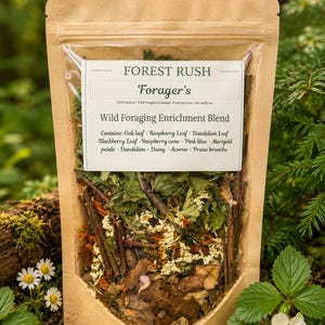May include: A brown paper pouch containing a wild foraging enrichment blend labelled Forest Rush Forager's. The blend includes dried oak leaves, raspberry leaves, dandelion leaves, blackberry leaves, raspberry cane, lilac, marigold, daisy, acorns, and prune branches.