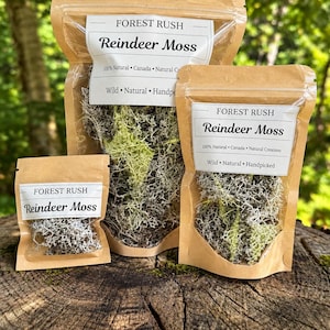 Peut inclure: Trois sachets en papier kraft brun de tailles variées contenant de la mousse de renne séchée, vert clair et blanche. Chaque sachet porte une étiquette blanche avec le texte FOREST RUSH Reindeer Moss, 100% Natural, Canada, Natural Creations, Wild, Natural, Handpicked.