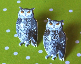 Owl Earrings -- Owl Studs, Graphic Owls, Realistic Owl Earrings