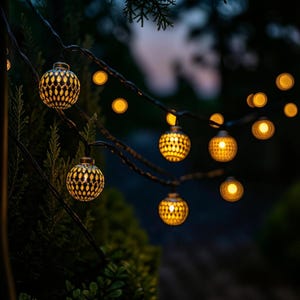 May include: A string of decorative outdoor lights featuring spherical bulbs with a metallic, perforated gold-tone finish. Each globe emits a warm, glowing light, suspended from a dark wire that winds through green foliage in a dim setting.