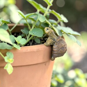 May include: A small, brown, textured turtle figurine perched on the rim of a terracotta-colored plant pot. The turtle has a detailed shell pattern and is positioned as if climbing over the edge of the pot, nestled among green plant leaves.