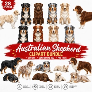 Può includere: Un pacchetto di clipart digitali con 28 illustrazioni di cani pastore australiano in vari colori e pose. La collezione include cani con mantelli neri, marroni, merle e crema, raffigurati in posizioni sedute, in piedi e sdraiate.