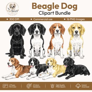 Puede incluir: Un paquete de imágenes prediseñadas digitales titulado Beagle Dog Clipart Bundle que contiene 16 imágenes PNG de perros beagle en cuatro variaciones de color y cuatro poses. Los perros se muestran en patrones de color negro, blanco y negro, marrón y blanco, y beige y blanco.