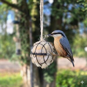 May include: A nuthatch with a slate-blue back, black eye stripe, and buff-colored underparts perched on a spherical black wire bird feeder filled with nesting material, suspended by a thick, light-colored natural fiber twine string.