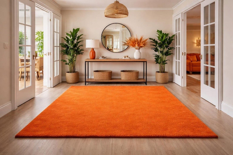 Entry Rug Orange Burnt Orange Area Rug, Terracotta Hand Tufted Wool Rug, Modern Solid ...