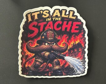 IN THE STACHE