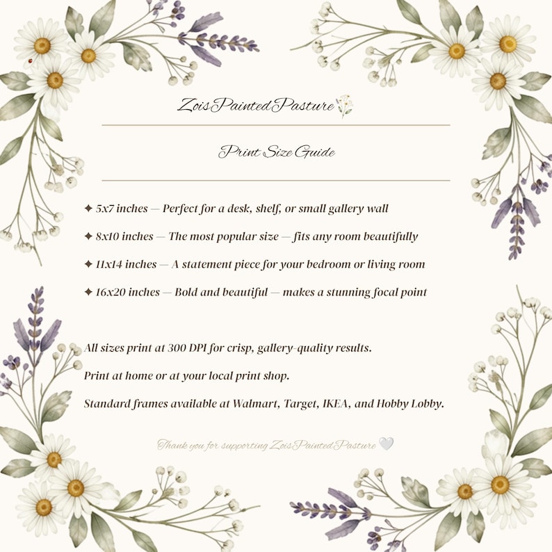 Zois Painted Pasture print size guide graphic for digital wall art download, listing 5x7 8x10 11x14 and 16x20 inch sizes, 300 DPI quality, farmhouse cottagecore watercolor daisy botanical border, instant download printable