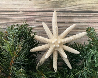 Miniature Holiday Topper with Sugar Starfish Mini Double Starfish Christmas Tree Topper Miniature Holiday Topper with Sugar Starfish Mini Double Starfish Christmas Tree Topper