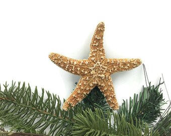 mini sugar starfish tree topper christmas tree topper sugar starfish topper coastal christmas beach christmas - Mini Christmas Tree Topper mini sugar starfish tree topper christmas tree topper sugar starfish topper coastal christmas beach christmas - Mini Christmas Tree Topper