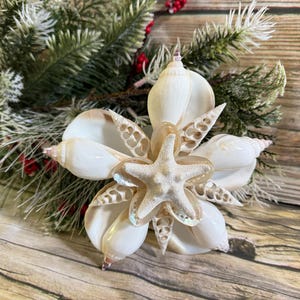 May include: A decorative floral arrangement made of seashells and a starfish, with a backdrop of evergreen branches and red berries. The seashells are white and beige, and the starfish is a light beige color. The arrangement is set on a wooden surface.
