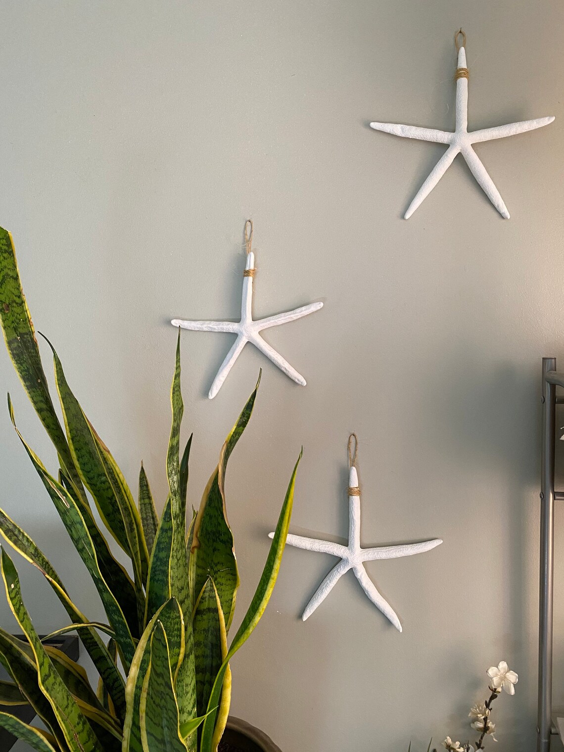 Beach Decor Starfish Wall Art for Home Decoration Large Etsy