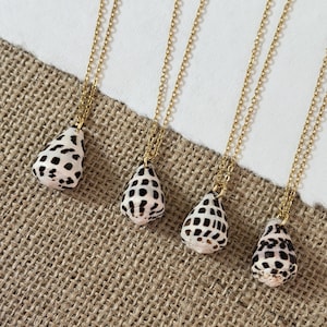 Real Natural Black and White Hebrew Cone Shell Hawaiian Necklace, Waterproof Jewelry
