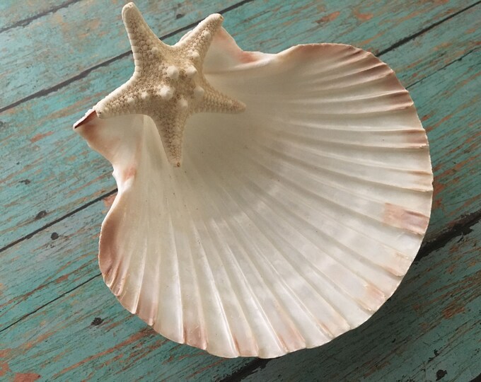 Seashell Jewelry Holder Beach Wedding Ring Dish Sea Shell Etsy Canada