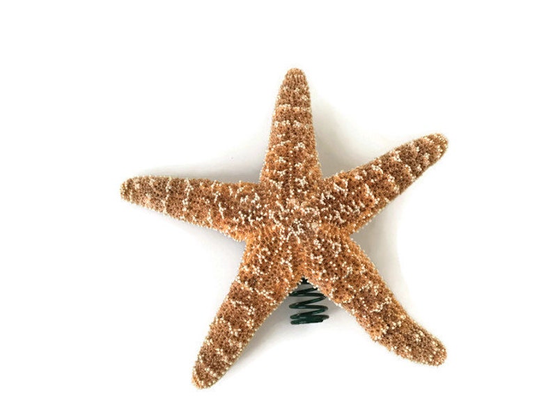 Sugar Starfish Tree Topper Christmas Tree Topper Natural Etsy