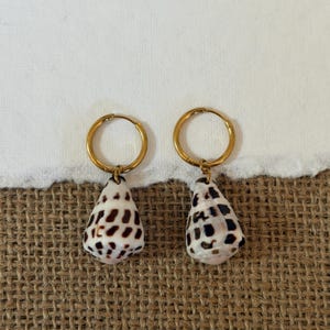 May include: A pair of gold-toned hoop earrings, each featuring a dangling cone-shaped seashell charm. The shells are white with a distinct pattern of dark brown rectangular spots. The hoops are thin, circular, and metallic in appearance.