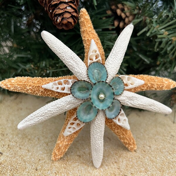 Mini décoration de sapin de Noël étoile de mer en sucre de 5 à 6 pouces, décoration d'arbre étoiles de mer, décoration d'étoile de mer patelle, Noël des Caraïbes, décoration d'arbre étoiles