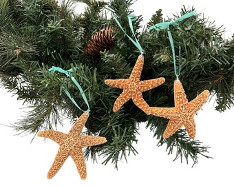 Sugar Starfish Ornaments, Set of Natural Starfish Christmas Ornaments, Tropical Theme Holiday Decorations, Beach Theme Christmas, Coastal